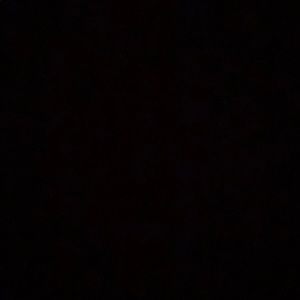 Meet your Posher, Gloria